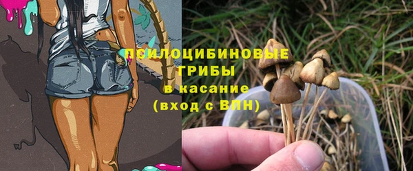 гидропоника Липки